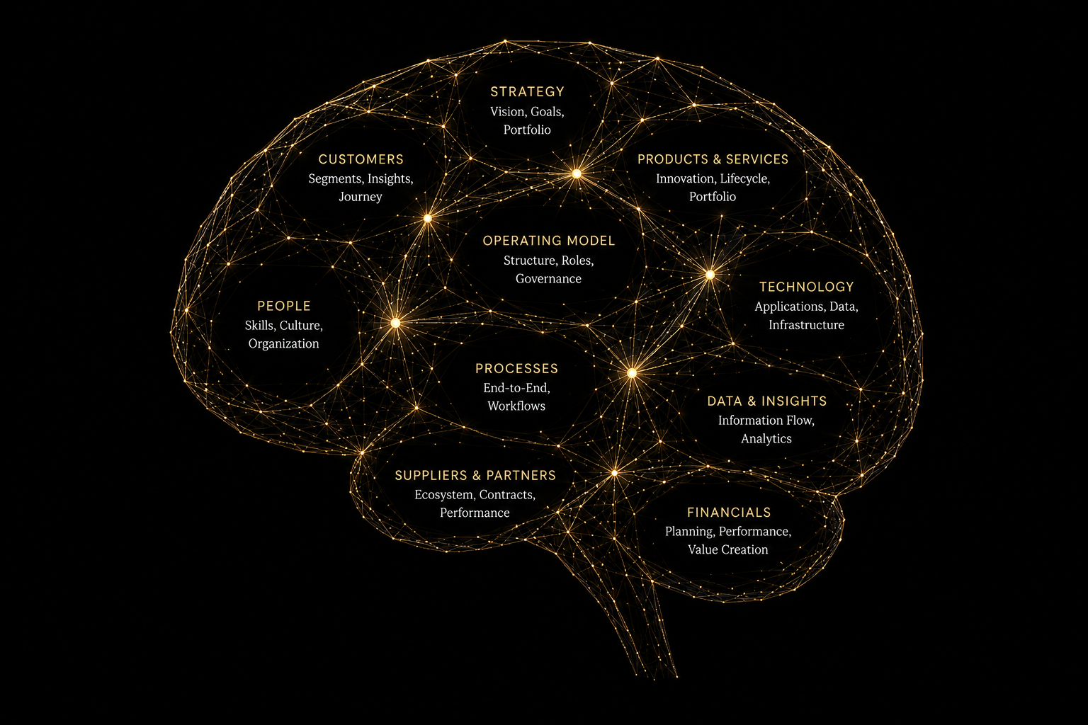 Illustration of an enterprise mapped as an interconnected network